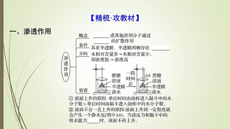 2025届高考 一轮复习 人教版　蛋白质是生命活动的主要承担者 课件  （江苏版） (2)第4页