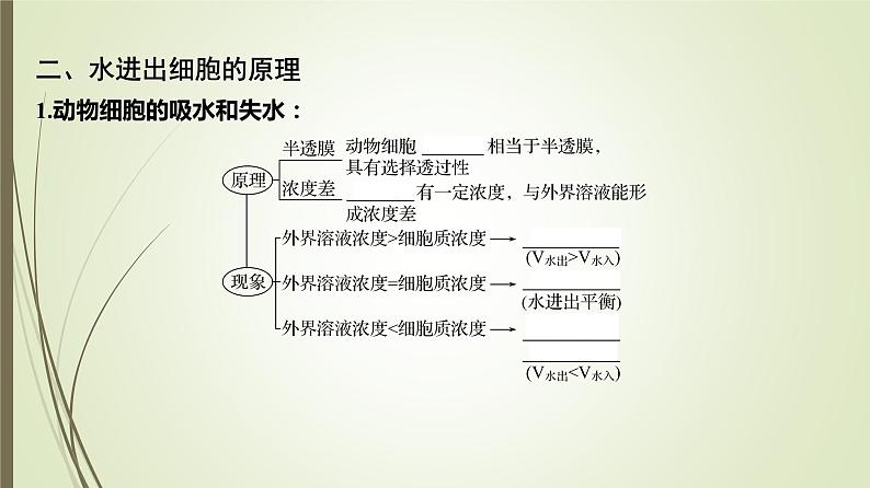 2025届高考 一轮复习 人教版　蛋白质是生命活动的主要承担者 课件  （江苏版） (2)第6页