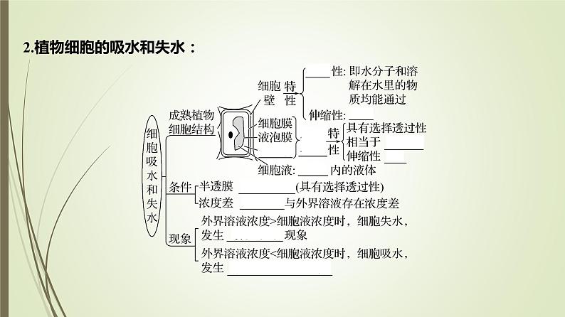 2025届高考 一轮复习 人教版　蛋白质是生命活动的主要承担者 课件  （江苏版） (2)第7页