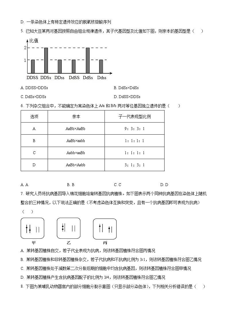 吉林省延边朝鲜族自治州延吉市延边第二中学2023-2024学年高一下学期5月期中考试生物试题02