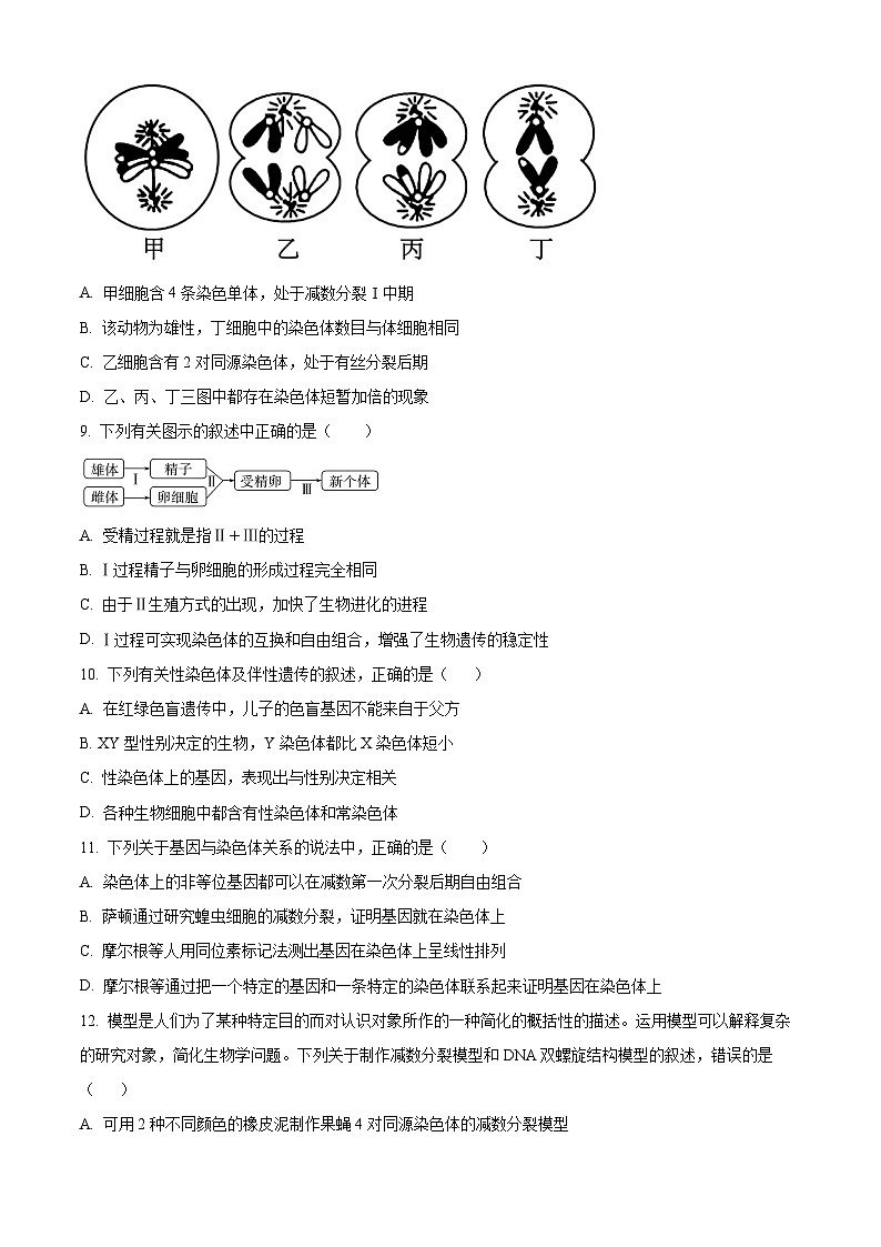 吉林省延边朝鲜族自治州延吉市延边第二中学2023-2024学年高一下学期5月期中考试生物试题03