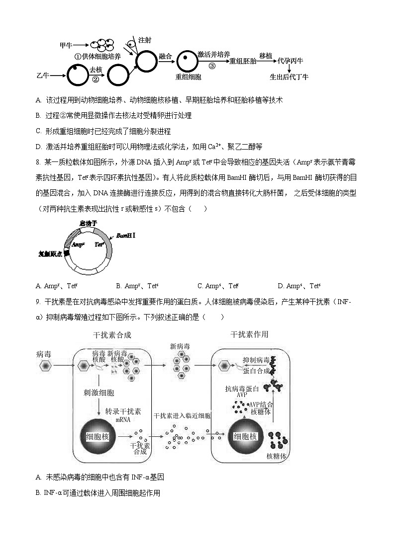 （教研室提供）山东省济宁市泗水县2023-2024学年高二下学期期中考试生物试题（原卷版）第3页