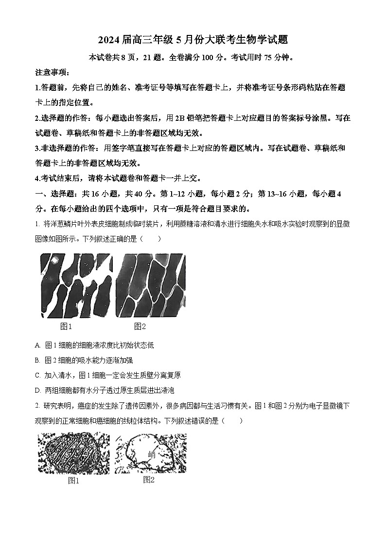 2024届广东省高三下学期5月三模生物试题（原卷版）第1页