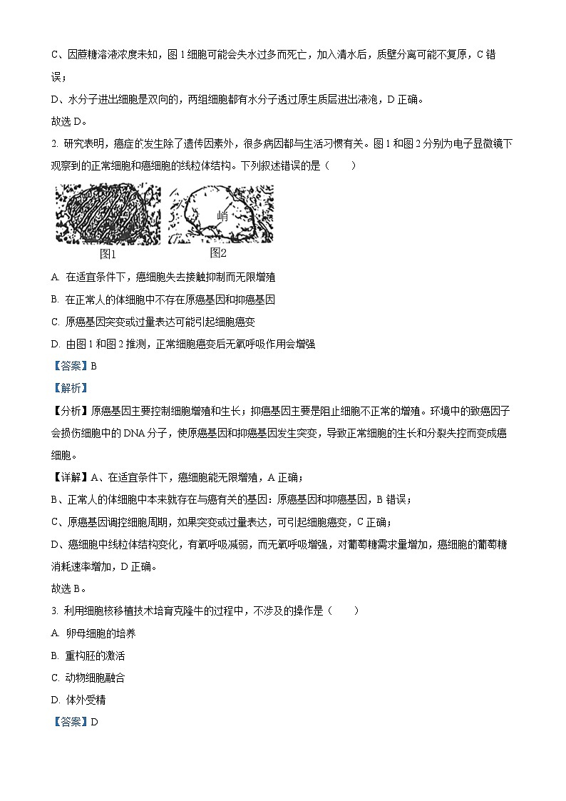 2024届广东省高三下学期5月三模生物试题（解析版）第2页