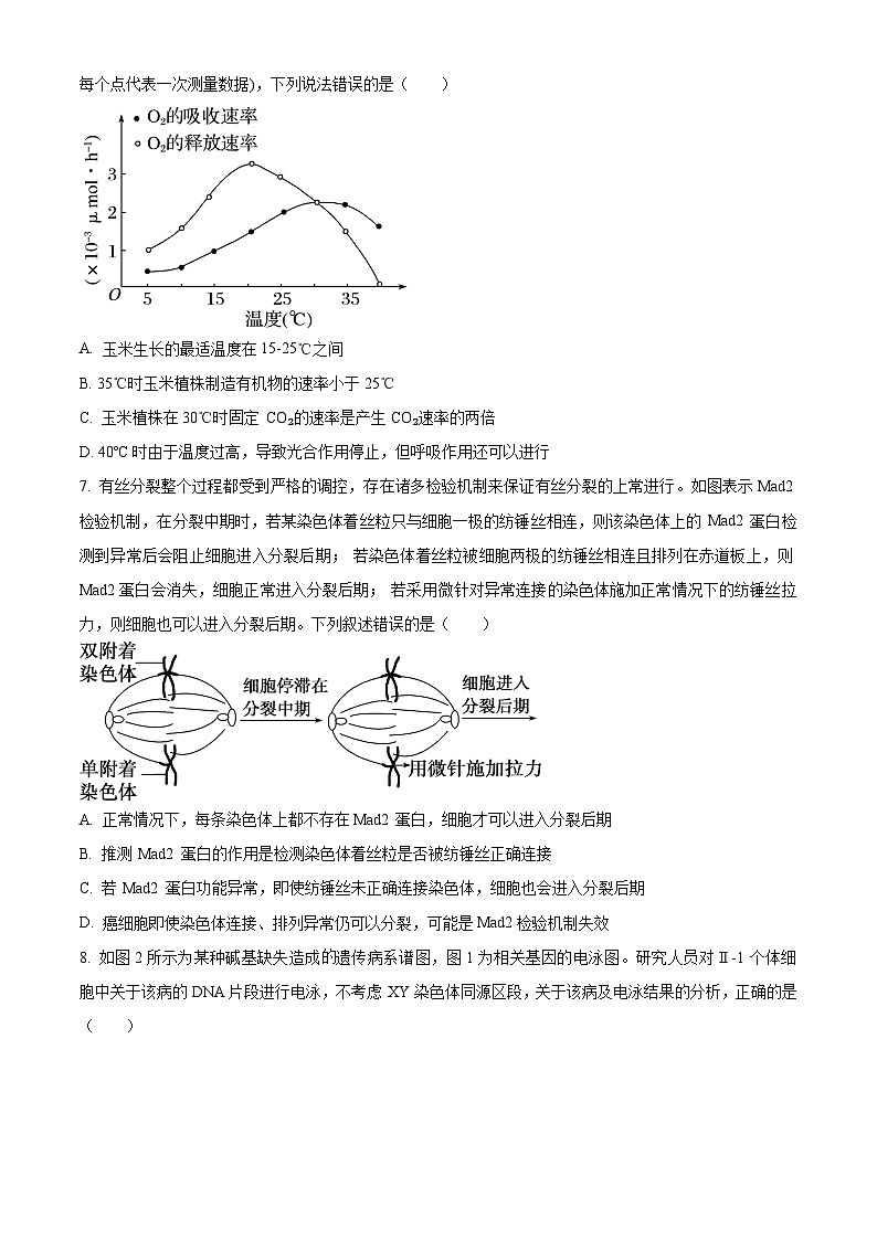 2024年普通高等学校招生全国统一考试高考模拟调研卷生物学（四）（原卷版）第3页