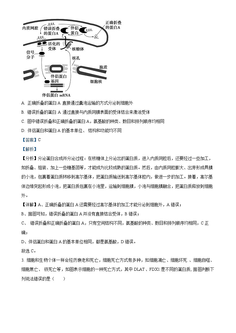 2024年普通高等学校招生全国统一考试高考模拟调研卷生物学（四）（解析版）第2页