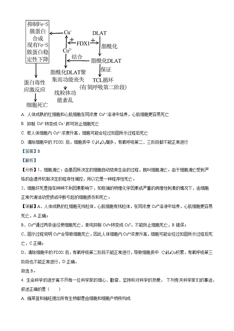 2024年普通高等学校招生全国统一考试高考模拟调研卷生物学（四）（解析版）第3页