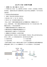 湖南省岳阳市岳汨五月联考2023-2024学年高一下学期5月月考生物试题（原卷版+解析版）