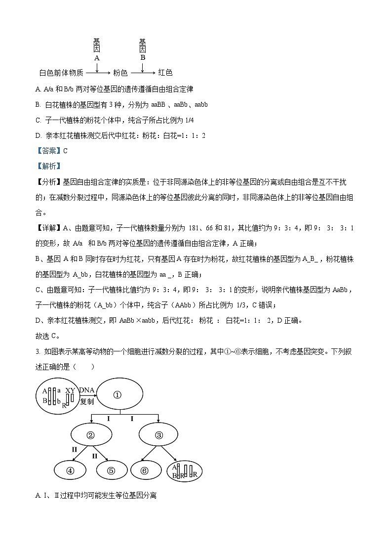 江西省上饶市广丰中学2023-2024学年高一下学期5月月考生物试题（解析版）第2页