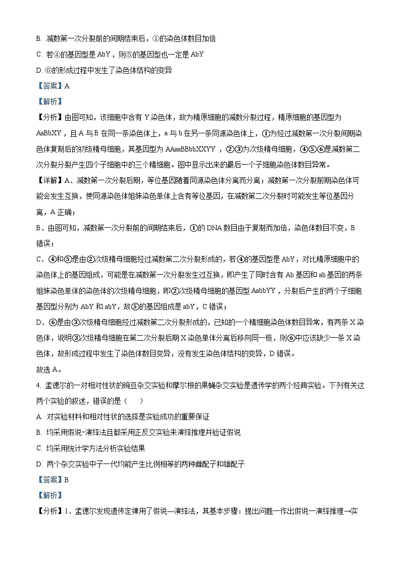 江西省上饶市广丰中学2023-2024学年高一下学期5月月考生物试题（解析版）第3页
