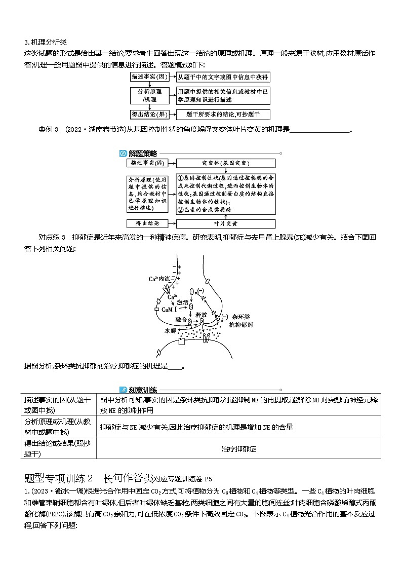 热考题型二  长句作答类  教案  2024届高考生物三轮冲刺第3页
