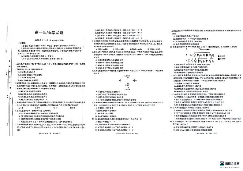 山西省临汾市2023-2024学年高一下学期期中考试生物试题01