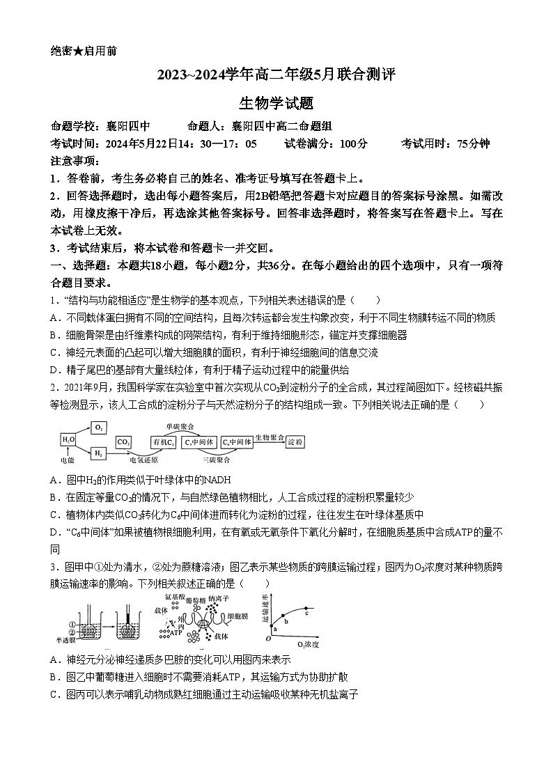 湖北省十堰市2023-2024学年高二下学期5月联合测评生物试题（Word版附解析）01