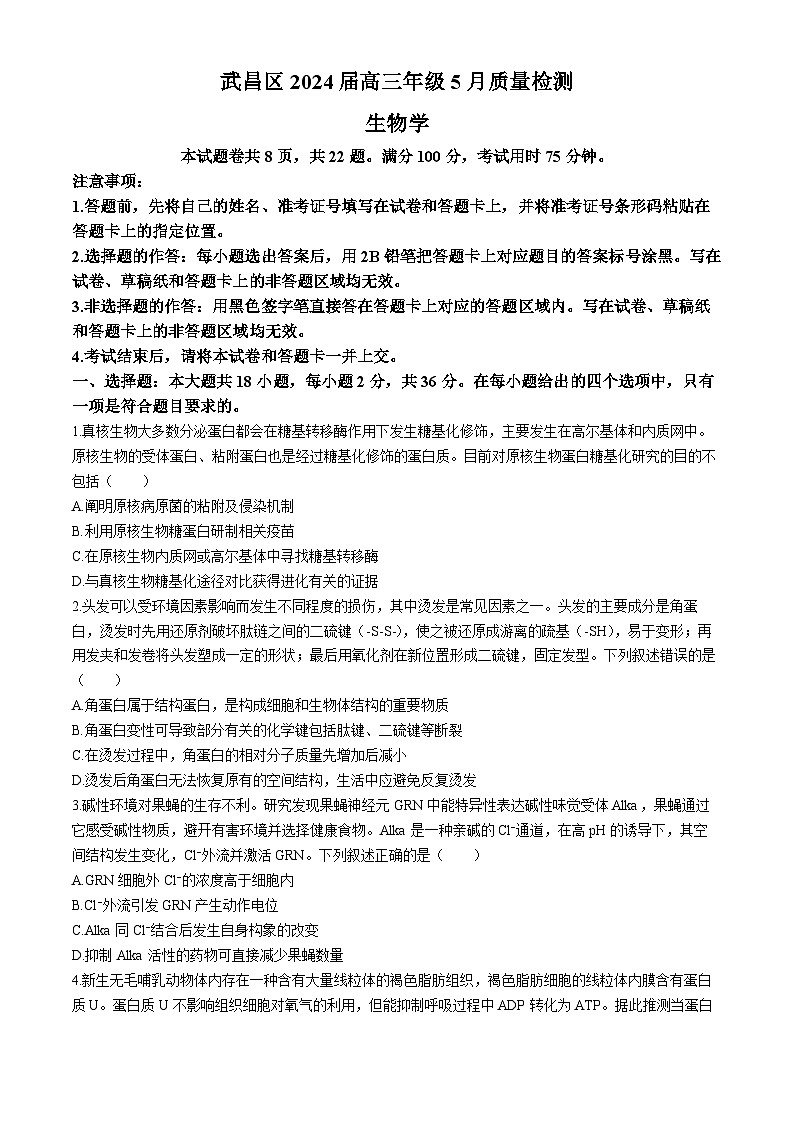 湖北省武汉市武昌区2024届高三下学期5月质量检测（二模）生物试题（Word版附答案）01