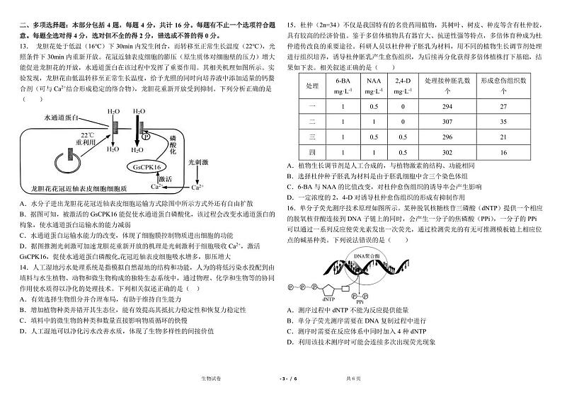 高三生物试题第3页