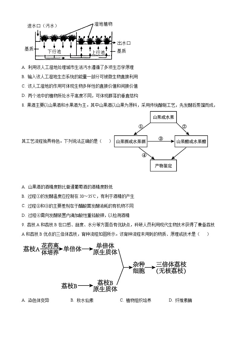 2024届重庆市荣昌区荣昌永荣中学校高三下学期模拟预测生物试题（原卷版）第3页