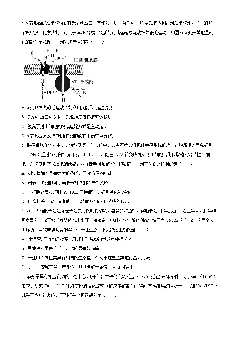 2024年广西高中学业水平考试模拟预测卷高三生物试题（原卷版+解析版）02
