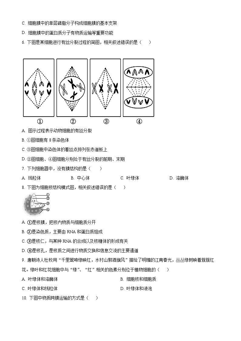 湖南省株洲市南方中学2023-2024学年高一下学期期中考试生物试题（原卷版+解析版）02