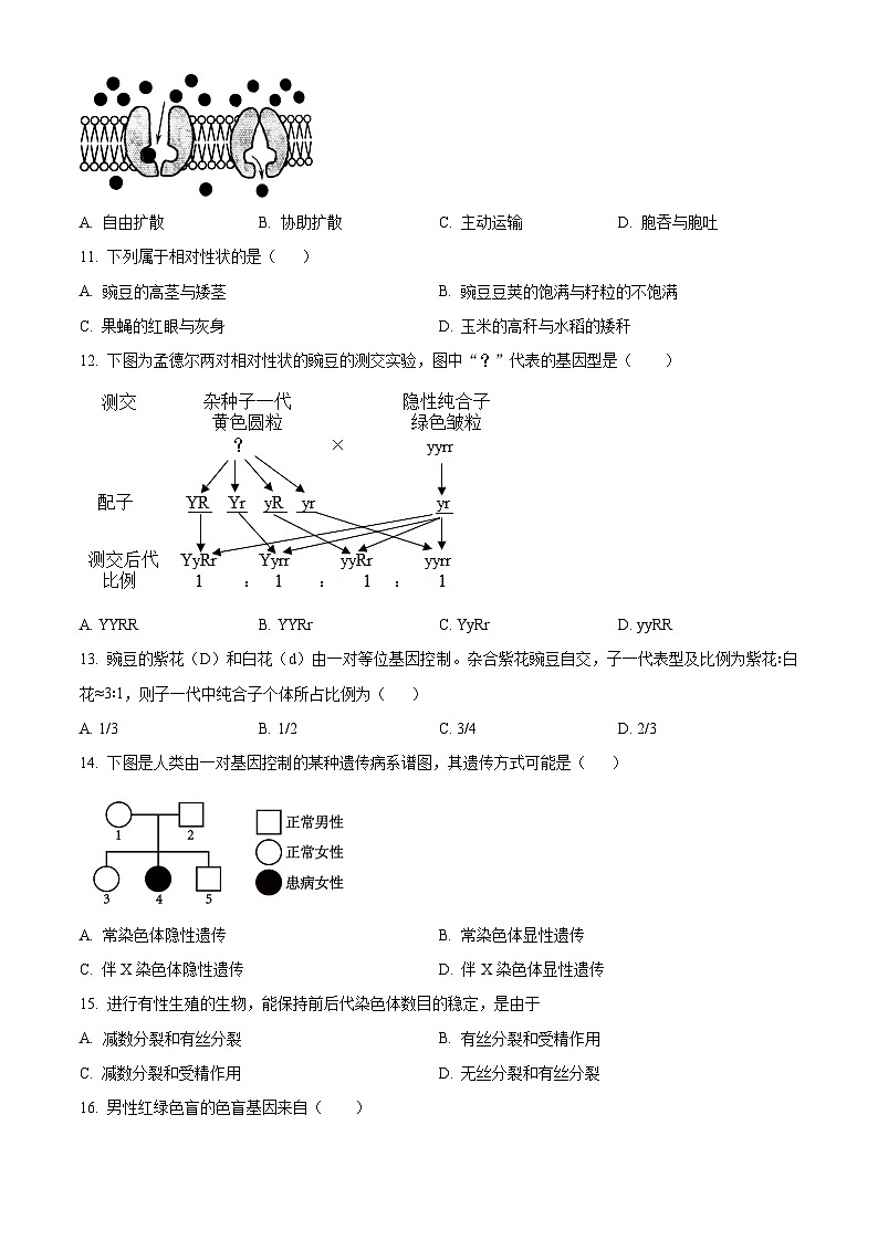 湖南省株洲市南方中学2023-2024学年高一下学期期中考试生物试题（原卷版+解析版）03