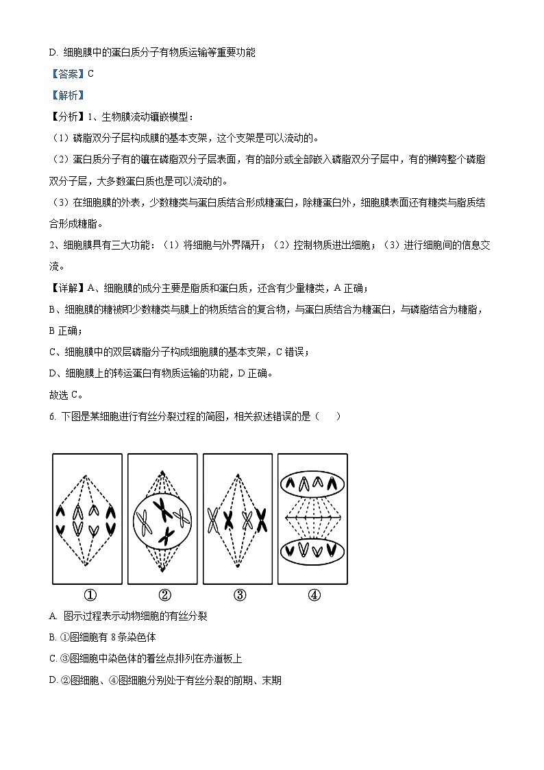 湖南省株洲市南方中学2023-2024学年高一下学期期中考试生物试题（原卷版+解析版）03
