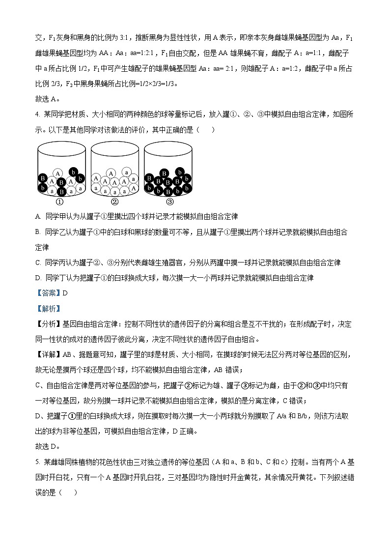 辽宁省沈阳市省重点中学五校联考2023-2024学年高一下学期期中考试生物试题（解析版）第3页