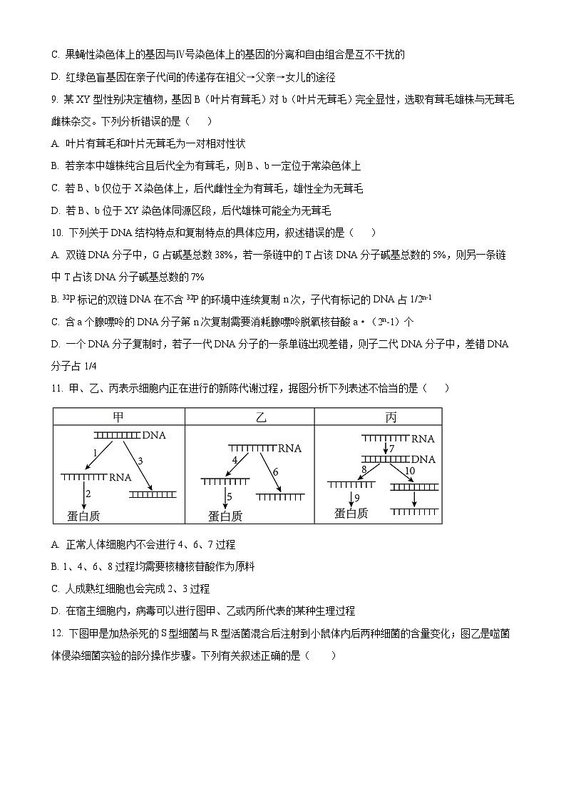 辽宁省沈阳市省重点中学五校联考2023-2024学年高一下学期期中考试生物试题（原卷版）第3页