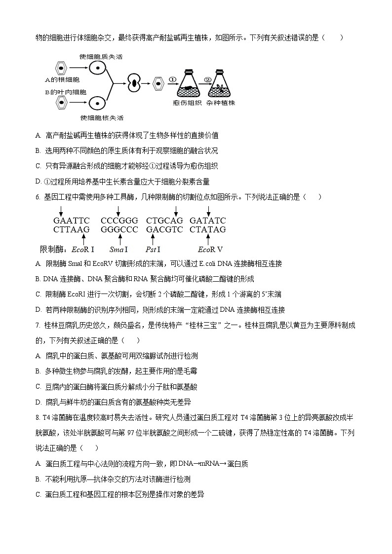 宁夏回族自治区石嘴山市平罗中学2023-2024学年高二下学期期中考试生物试题（重点班）02