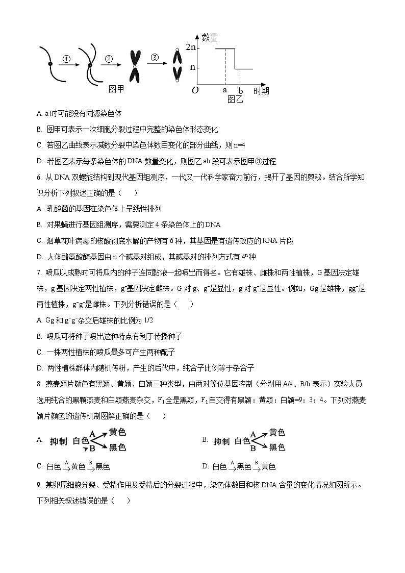 天津市北辰区第四十七中学2023-2024学年高一下学期5月期中生物试题（原卷版+解析版）02