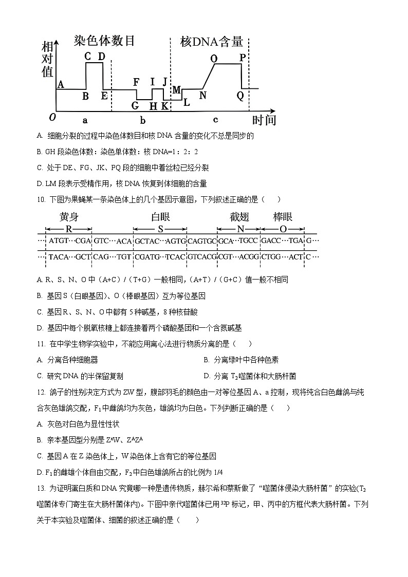 天津市北辰区第四十七中学2023-2024学年高一下学期5月期中生物试题（原卷版+解析版）03