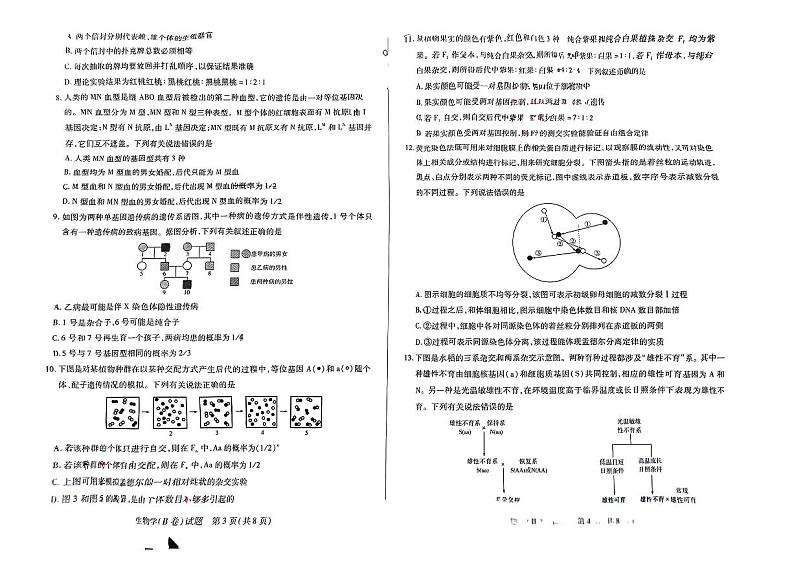 安徽省亳州市涡阳县名校联考2023—2024学年高一下学期期中考试生物试题02