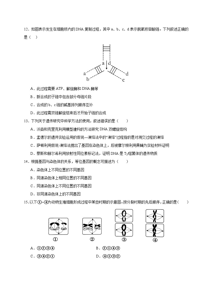 福建省南平市高级中学2023-2024学年高一下学期期中考试生物试题03