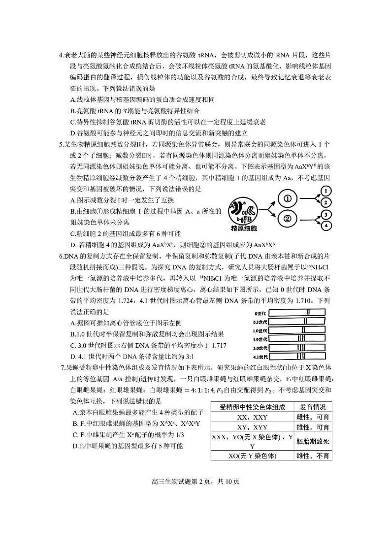 2024届山东省威海市高三二模生物试卷及答案第2页