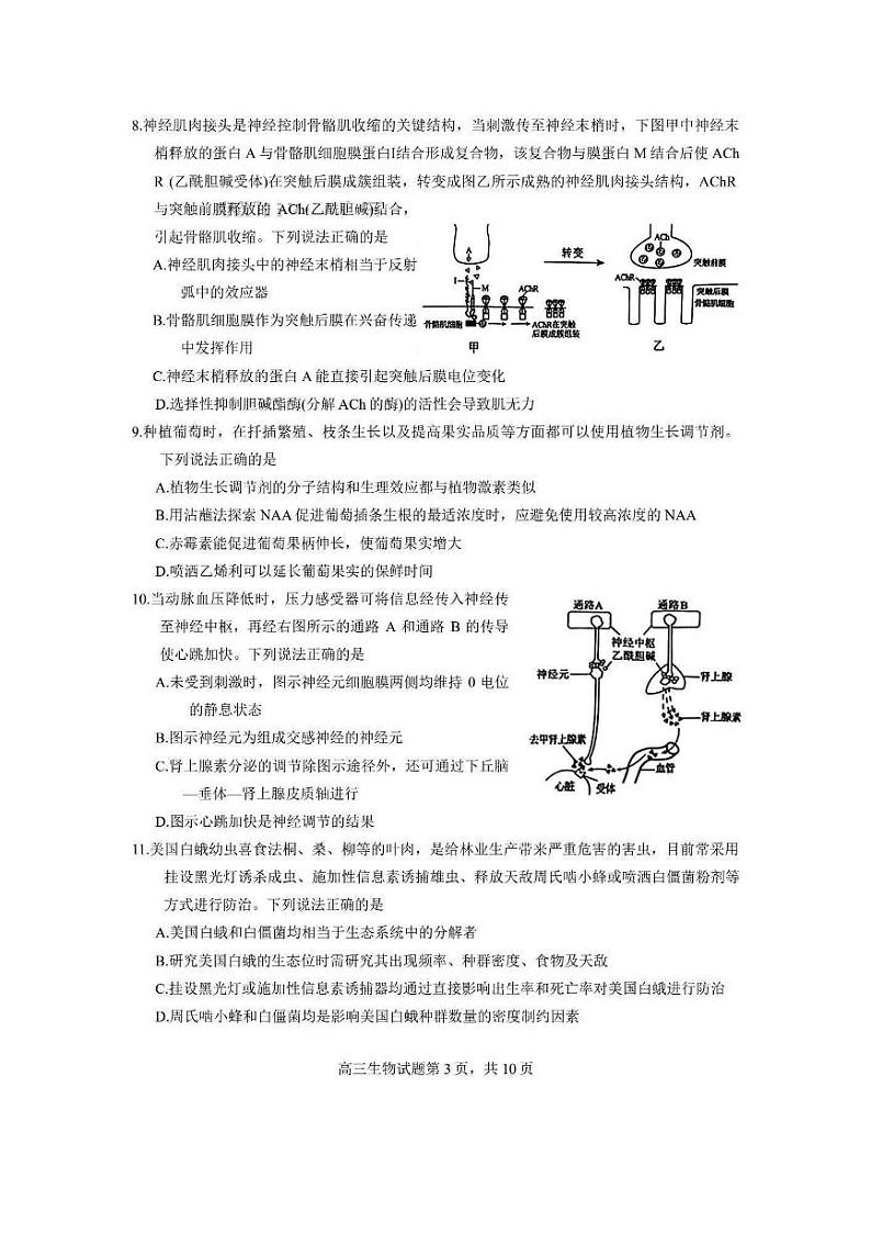 2024届山东省威海市高三二模生物试卷及答案第3页
