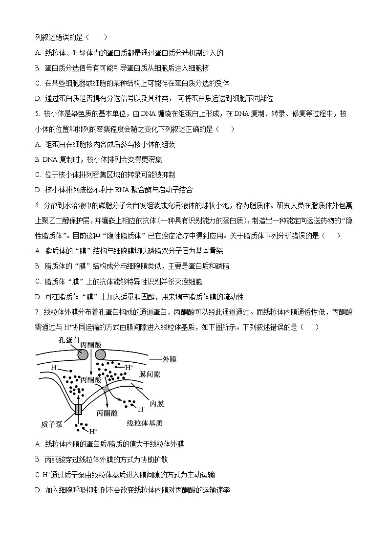 2024泰州中学高二下学期5月期中考试生物含解析02