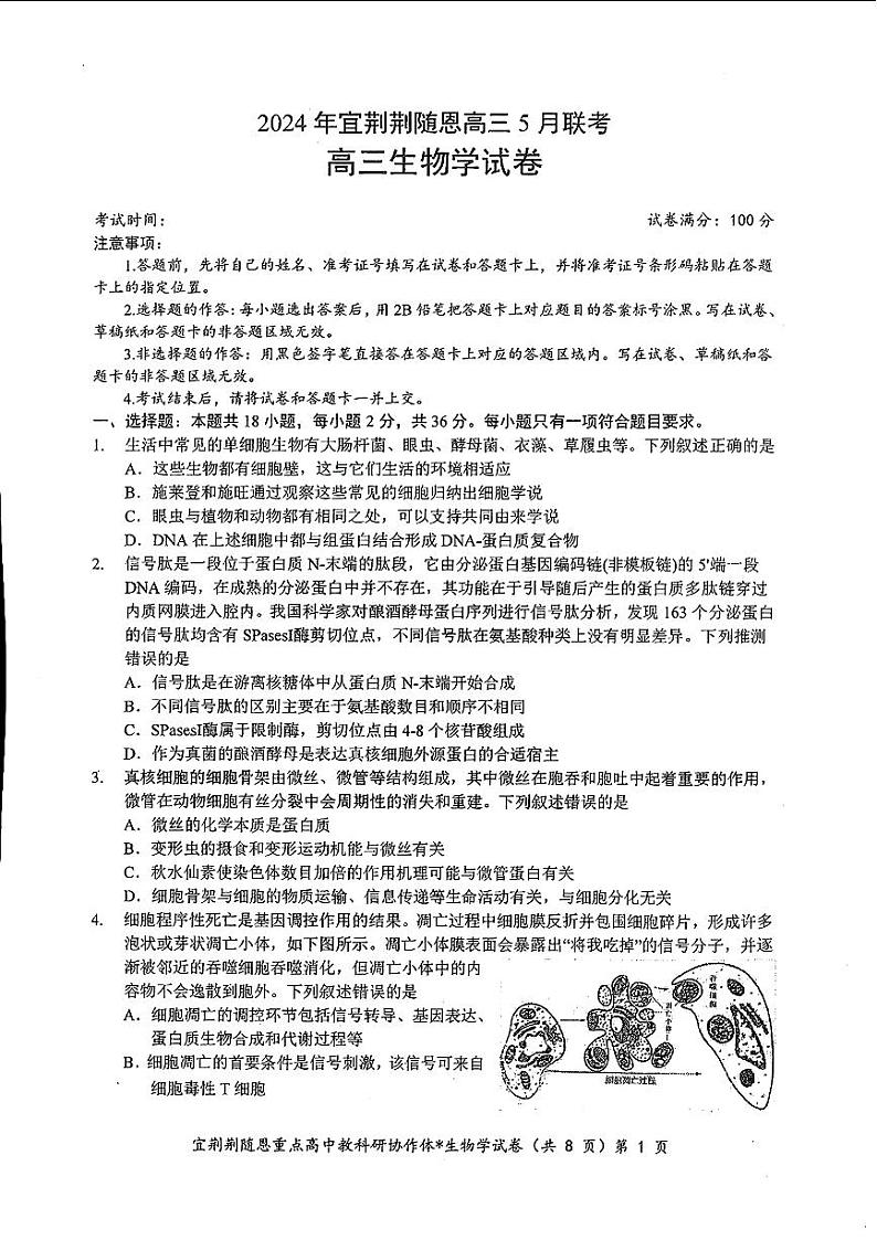 湖北省2024年宜荆荆随恩高三下学期5月联考（二模）生物试题+答案第1页
