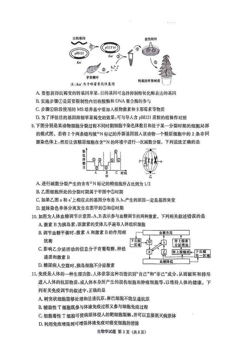 【湖南卷】湖南省炎德英才名校联考联合体2024年(届)高三下学期5月高考考前仿真联考(三)(5.20-5.21)               生物试题第3页