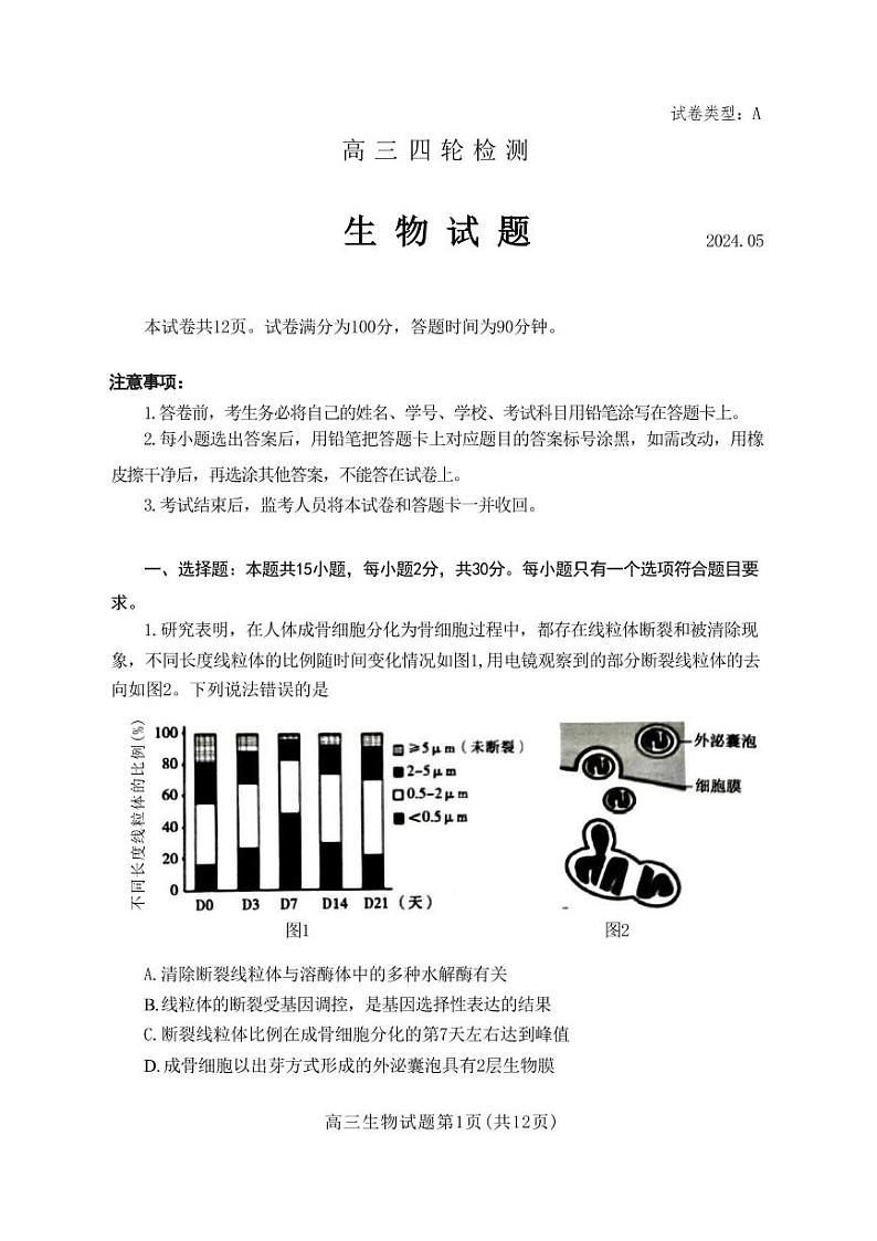 山东省泰安市2024年(届)高三年级四轮检测(泰安四模)生物试卷+答案01