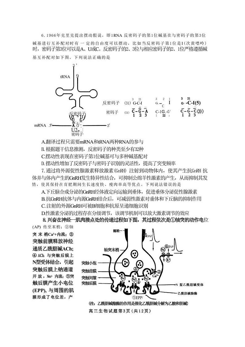 山东省泰安市2024年(届)高三年级四轮检测(泰安四模)生物试卷+答案03