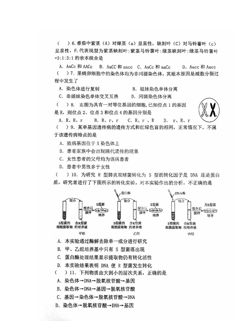 2024北京人大附中高一下学期统练二生物试卷及答案02