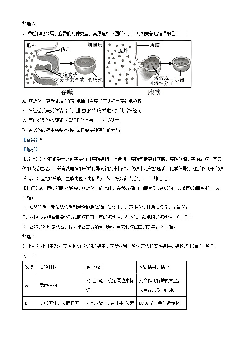 2024届辽宁省沈阳市第二中学高三三模生物试题（原卷版+解析版）02