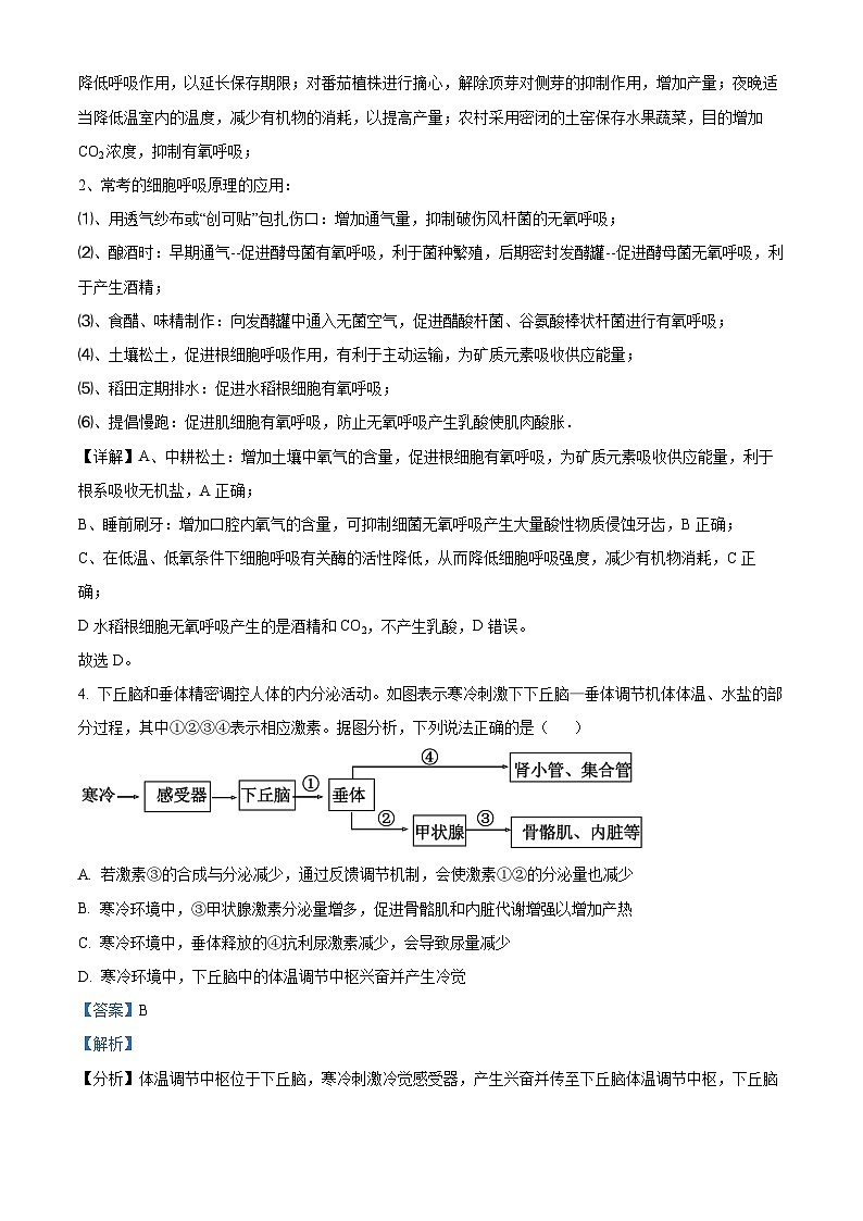 2024届重庆市荣昌区重荣昌仁义中学校高三下学期模拟预测生物试题（解析版）第3页