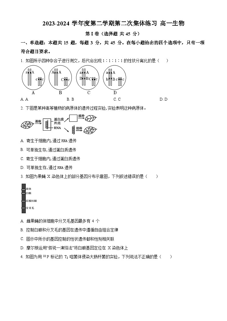 安徽省庐巢联盟2023-2024学年高一下学期第二次月考生物试题（原卷版+解析版）01