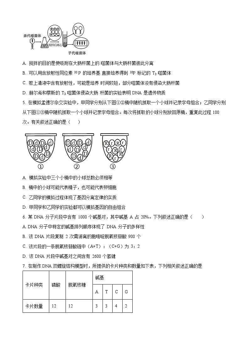 安徽省庐巢联盟2023-2024学年高一下学期第二次月考生物试题（原卷版+解析版）02