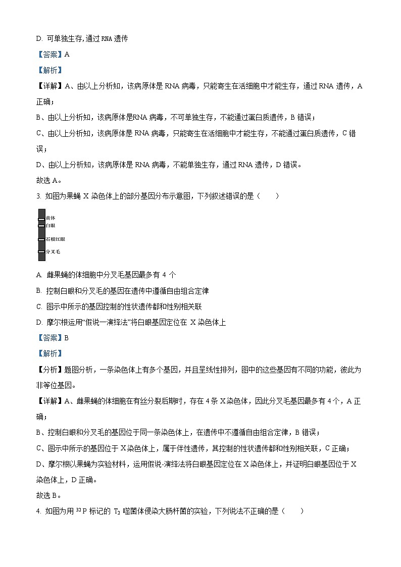 安徽省庐巢联盟2023-2024学年高一下学期第二次月考生物试题（原卷版+解析版）02