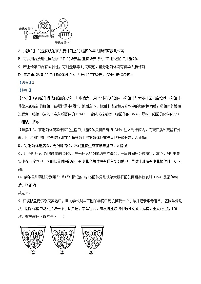 安徽省庐巢联盟2023-2024学年高一下学期第二次月考生物试题（原卷版+解析版）03