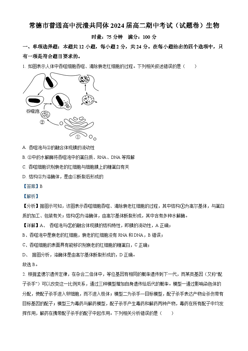 湖南省常德市沅澧共同体2023-2024学年高二下学期期中考试生物试题（原卷版+解析版）01