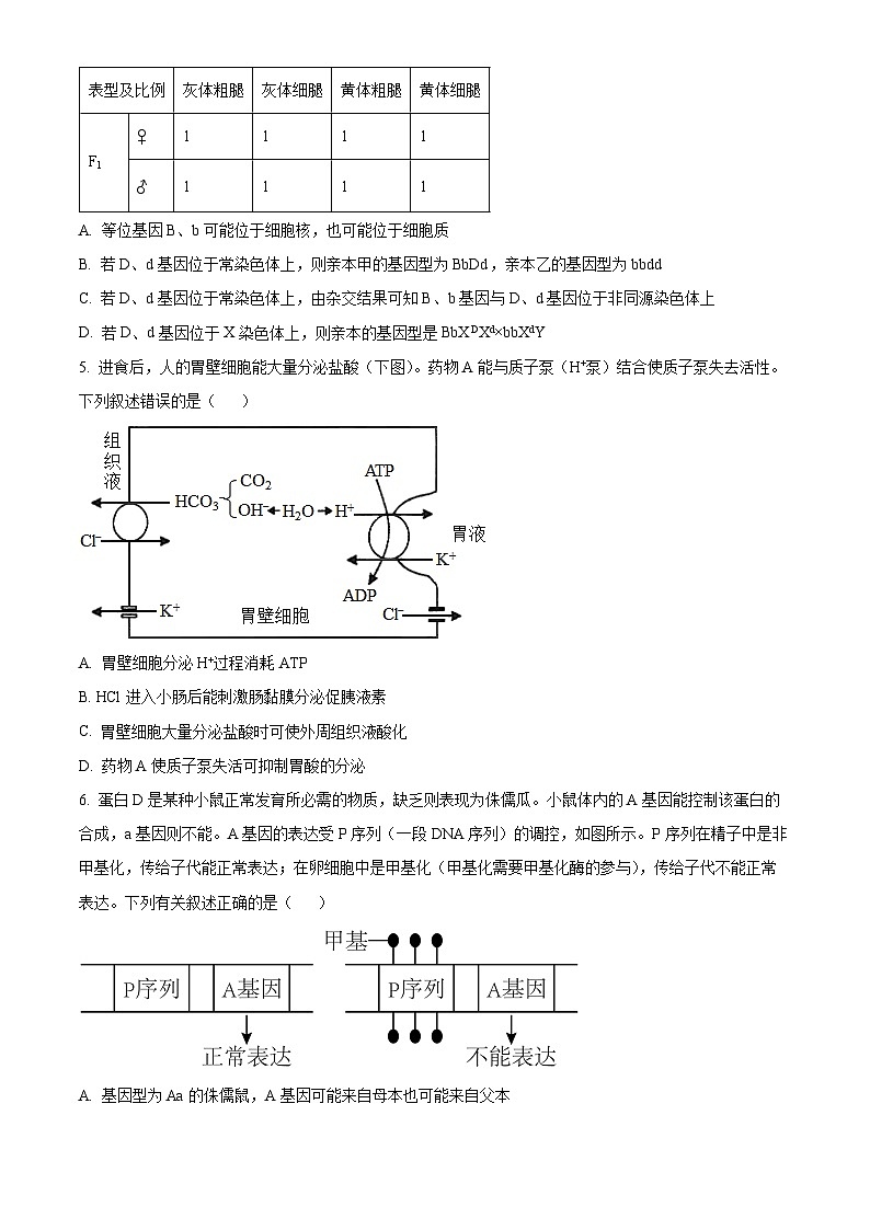 湖南省岳阳市岳汨五月联考2023-2024学年高三下学期5月月考生物试题（原卷版）第2页