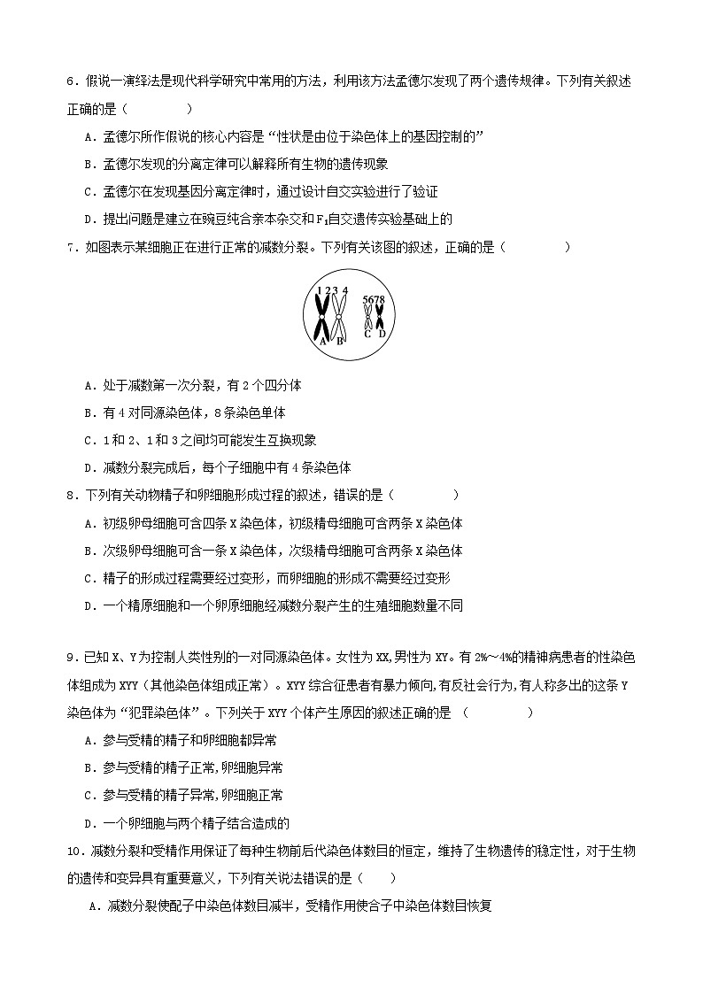 广东省深圳市四校创新发展联盟2023-2024学年高一下学期期中联考生物试卷02