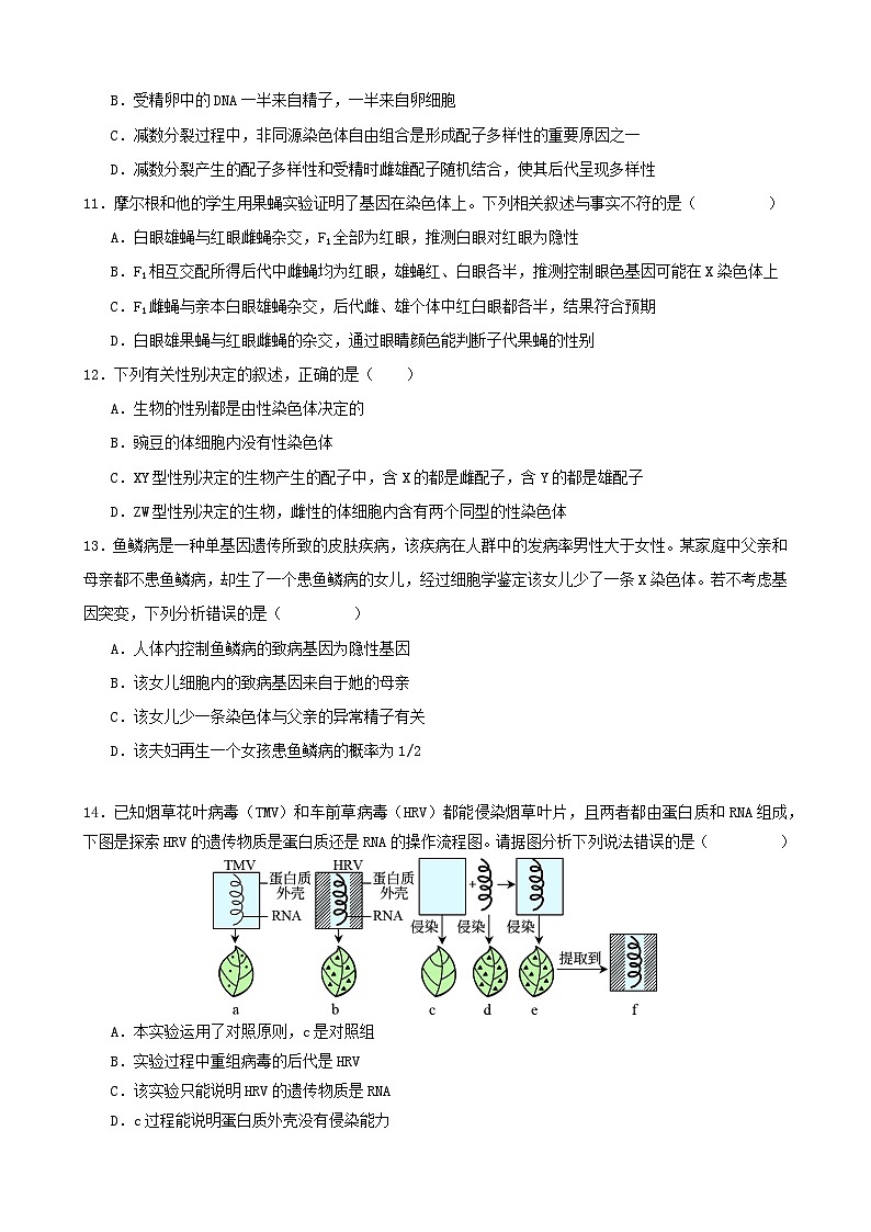 广东省深圳市四校创新发展联盟2023-2024学年高一下学期期中联考生物试卷03