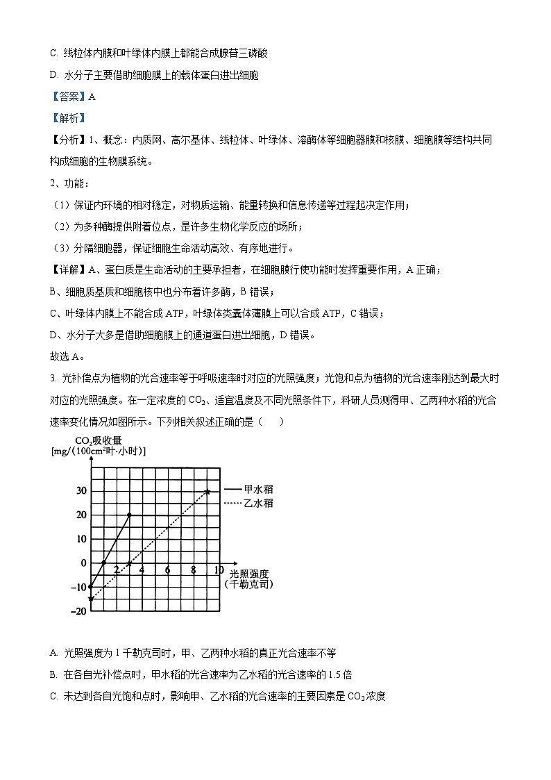 2024届江西省部分学校高三下学期5月统一调研测试生物试题（解析版）第2页
